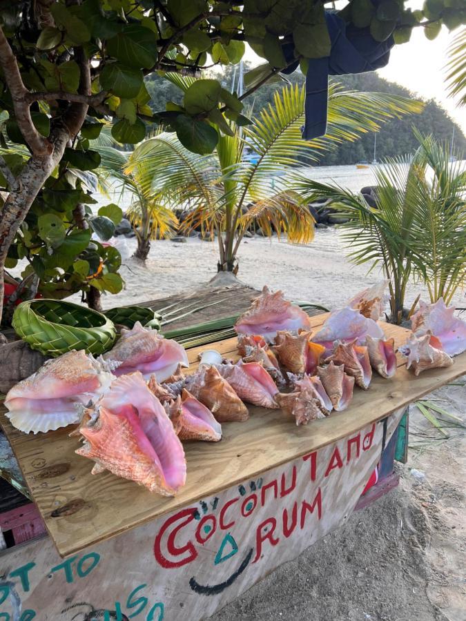 Casa Del Vega A Little Peace Of Heaven Hotell Castries Eksteriør bilde