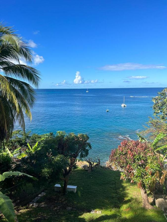 Casa Del Vega A Little Peace Of Heaven Hotell Castries Eksteriør bilde