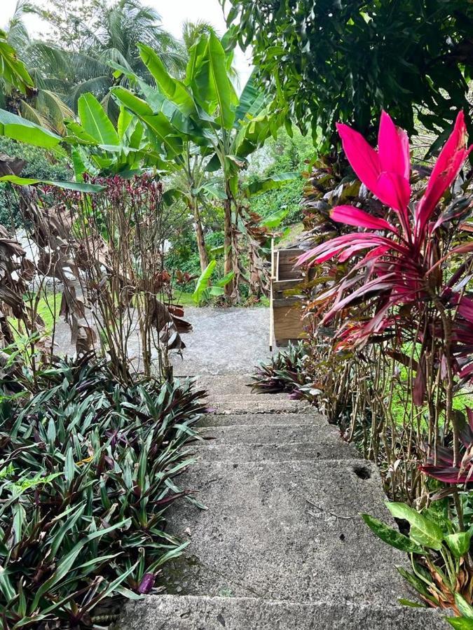 Casa Del Vega A Little Peace Of Heaven Hotell Castries Eksteriør bilde