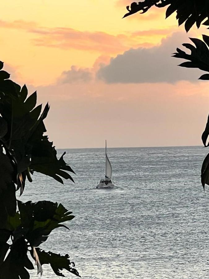 Casa Del Vega A Little Peace Of Heaven Hotell Castries Eksteriør bilde