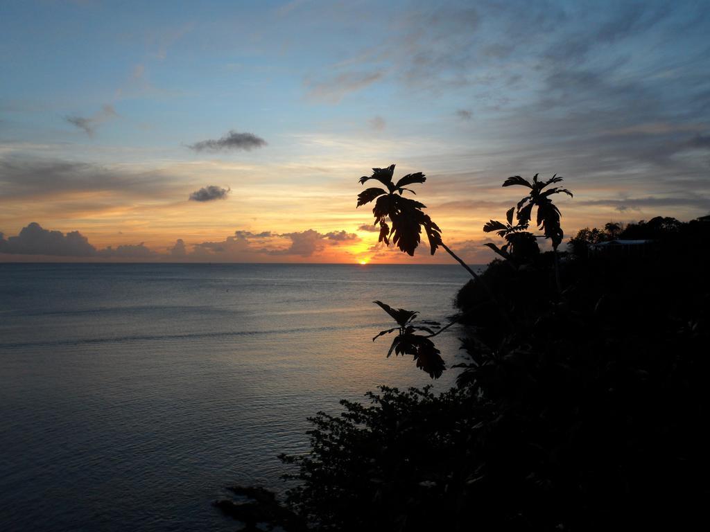 Casa Del Vega A Little Peace Of Heaven Hotell Castries Rom bilde