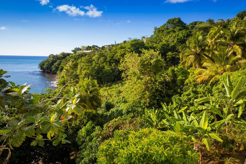 Casa Del Vega A Little Peace Of Heaven Hotell Castries Eksteriør bilde