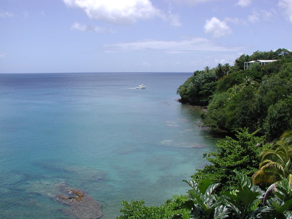 Casa Del Vega A Little Peace Of Heaven Hotell Castries Rom bilde